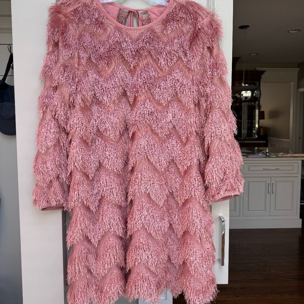 NWT Anthropologie Hutch Fringed Chevron Shift Dress - Picture 9 of 9